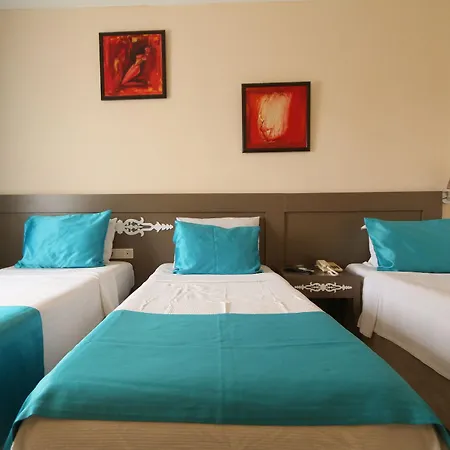 Sky Vela & גומבט