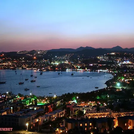 Sky Vela & גומבט