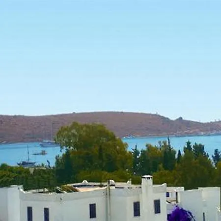 Sky Vela & גומבט